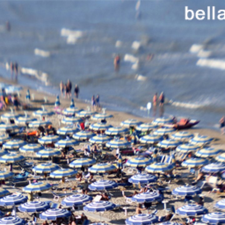 Sentenza del Consiglio di Stato gennaio 2014