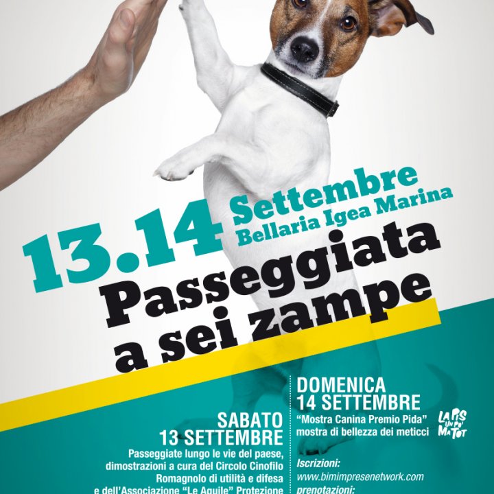 PASSEGGIATA A 6 ZAMPE 13-14 settembre 2014