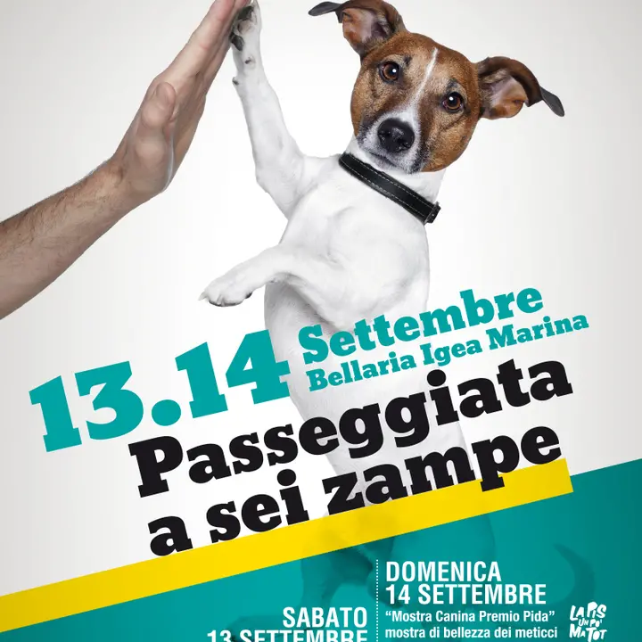 PASSEGGIATA A 6 ZAMPE 13-14 settembre 2014