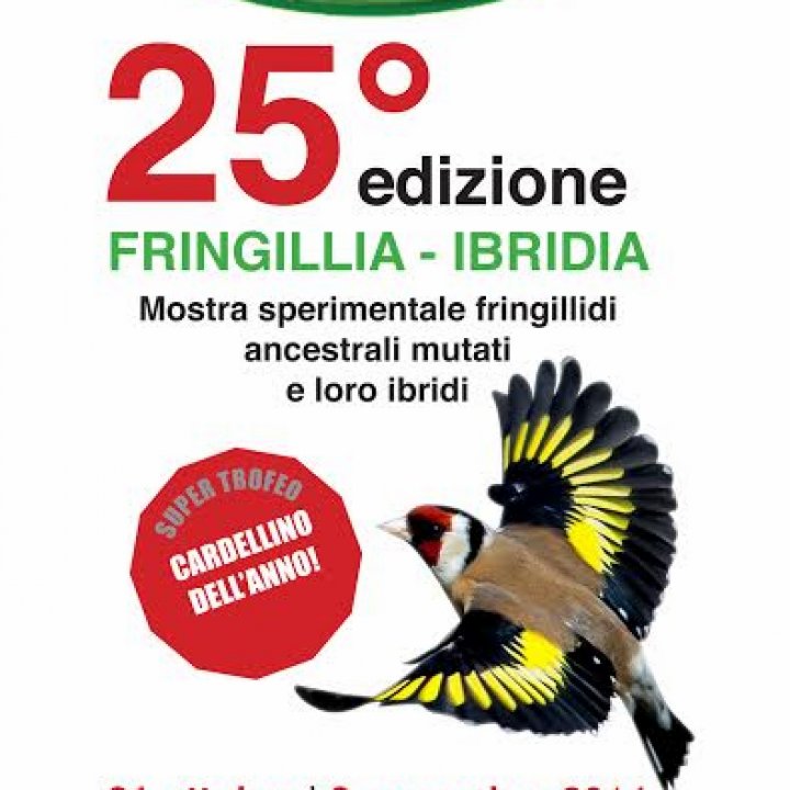 25° edizione FRINGILLIA-IBRIDIA 31 ottobre-02 novembre 2014