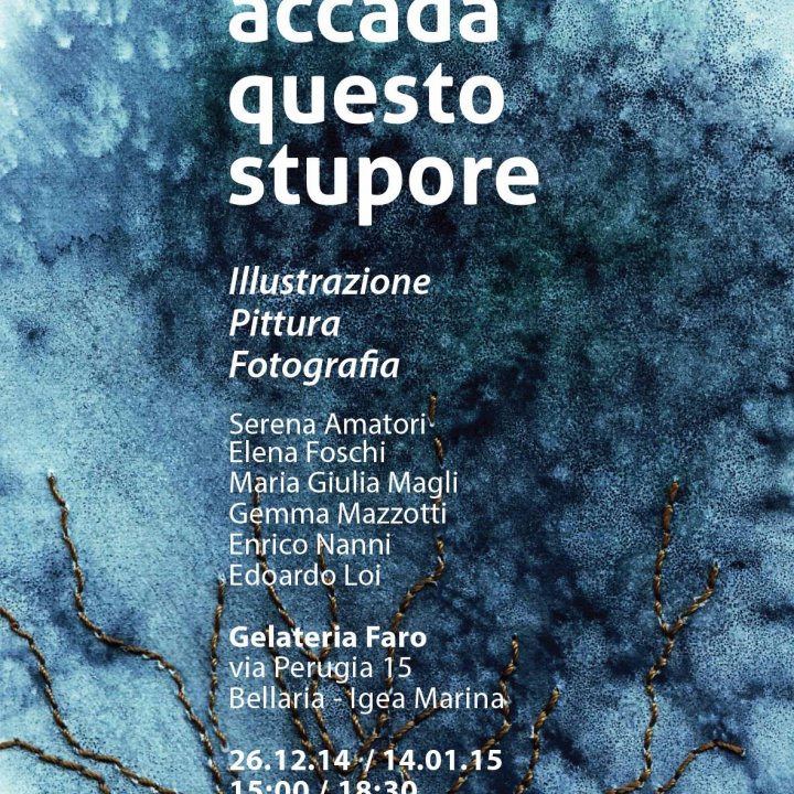 RIACCADA QUESTO STUPORE 26 dicembre 2014-14 gennaio 2015