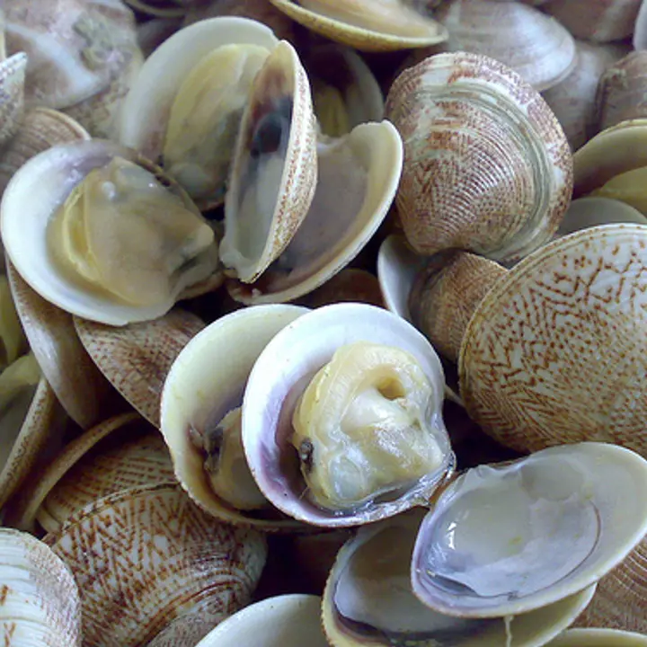 IL PESCE DEL NOSTRO MARE