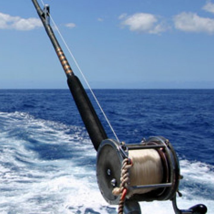 SELEZIONE CAMPIONATO ITALIANO PESCA SPORTIVA "BIG GAME"