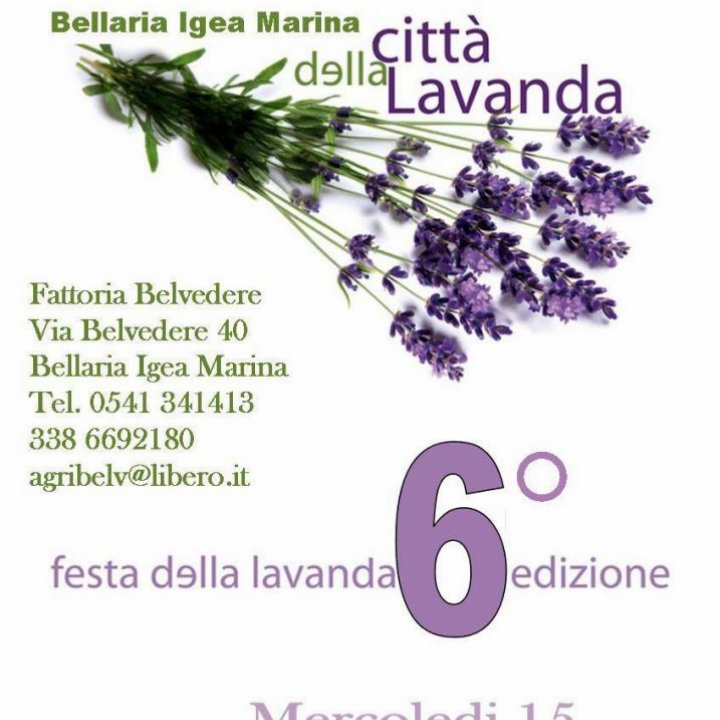 FESTA DELLA LAVANDA 6° edizione