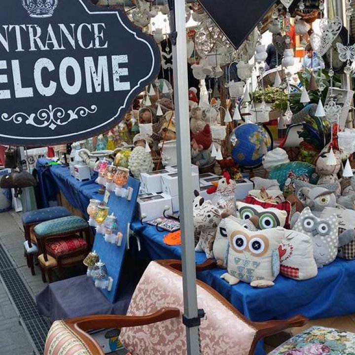 L' Isola dei Curiosi