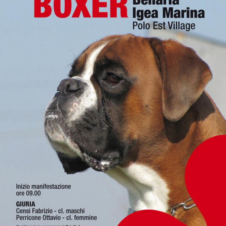 Raduno Boxer 09 Aprile 2012