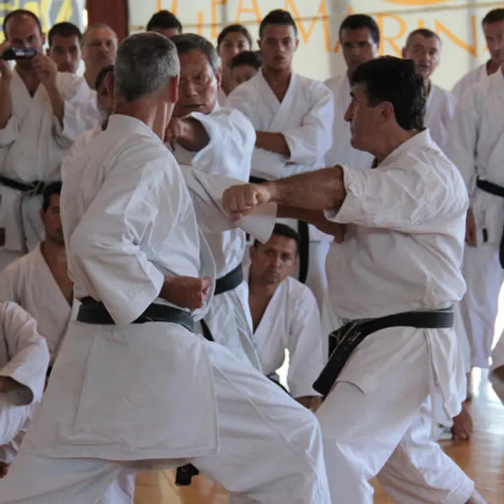 STAGE KARATE FIKTA ISI 22-25 agosto 2012
