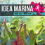 COLOR VIBE 5K - EVENTO RIMANDATO