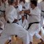 Stage Nazionale di karate: oltre 500 partecipanti