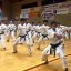 OPEN STAGE KARATE SKI-I