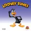 FLOWER CARTOONS | DAFFY DUCK e BUGS BUNNY