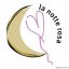 LA NOTTE ROSA 2024