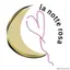 LA NOTTE ROSA 2024
