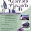 FESTA DELLA LAVANDA 6° edizione