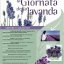 FESTA DELLA LAVANDA 6° edizione